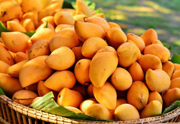 2 bonnes raisons de consommer de la mangue africaine